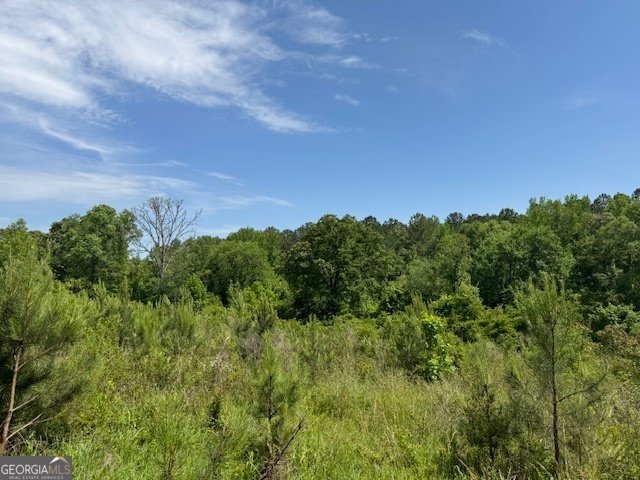 3633 River Road Franklin - 21