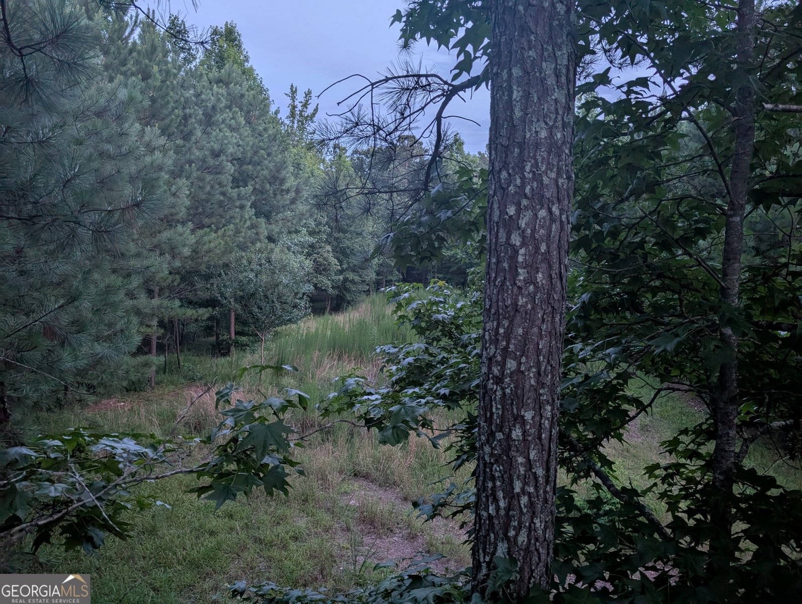 5700 Miles Road South Fulton - 68