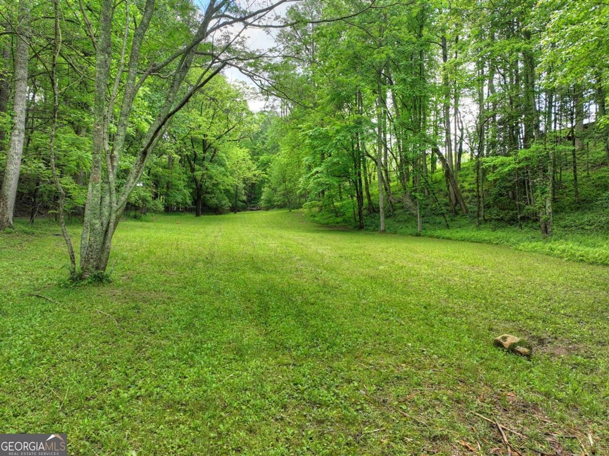 13389 Old Hwy 76 Morganton - 46