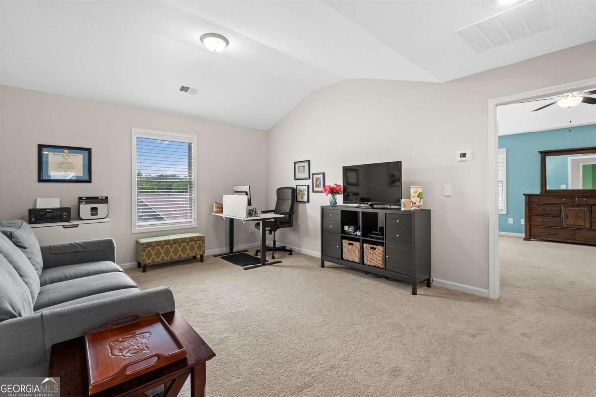 123 Cedar Park Way Carrollton - 24