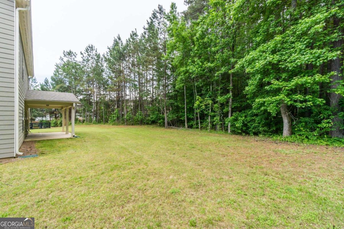 67 Summer House Court Dawsonville - 39