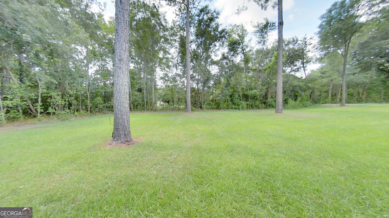 2036 Lexington Avenue Bainbridge - 18