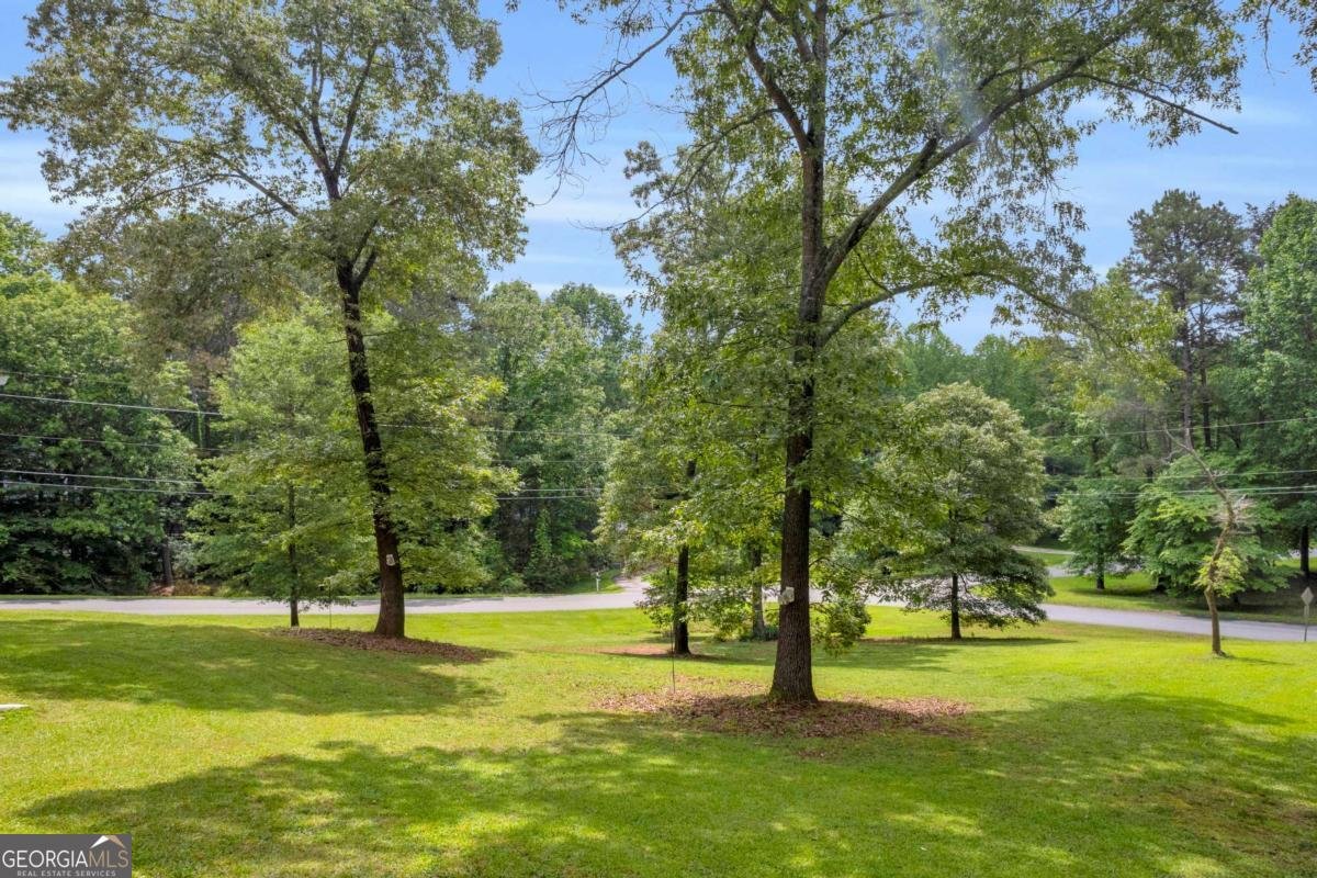 188 Mayapple Glen Dawsonville - 7