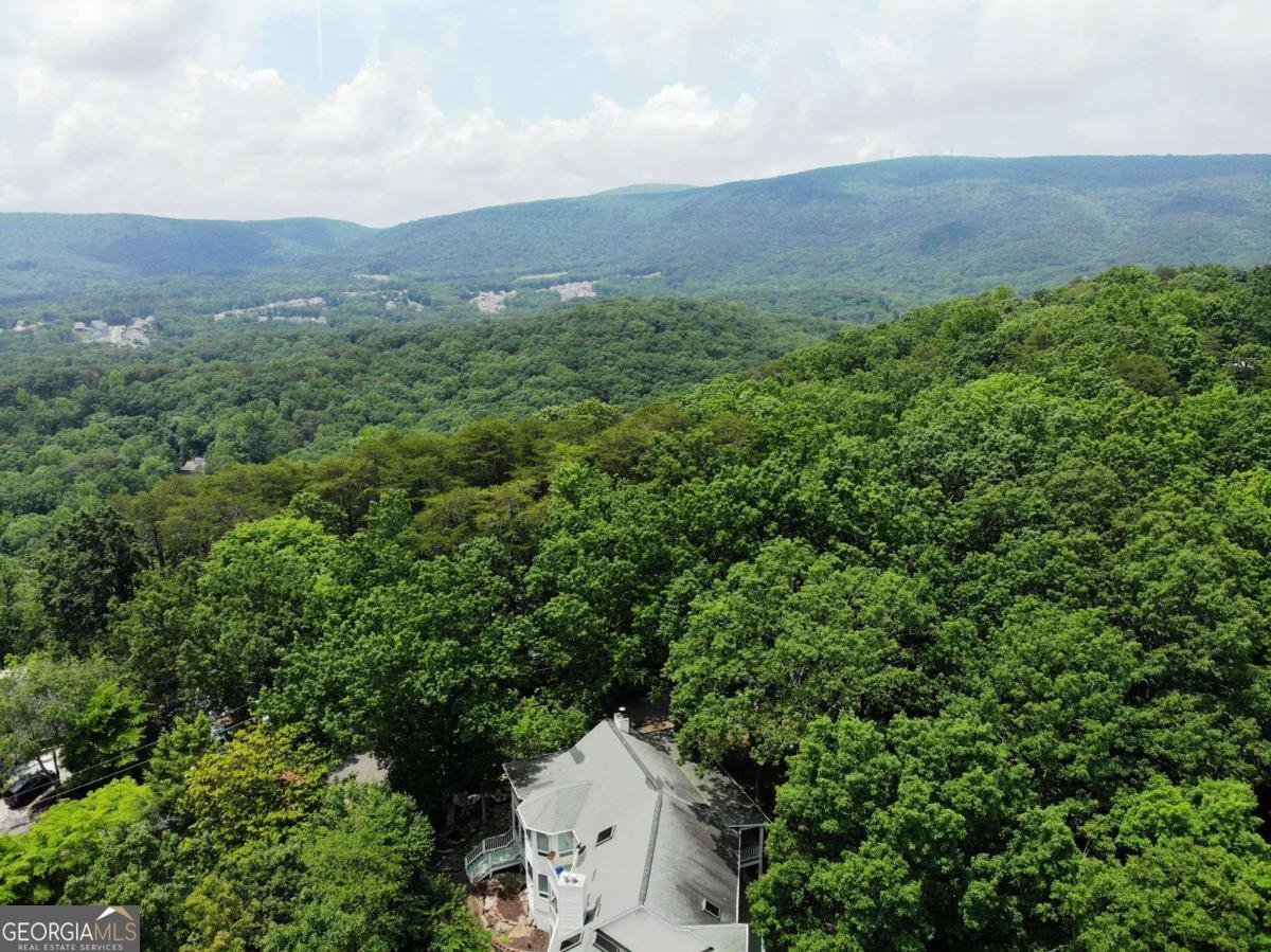 169 Ponderosa Lane Waleska - 73