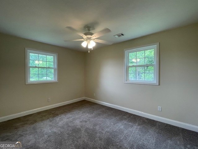 4009 Evergreen Church Road Cobbtown - 23