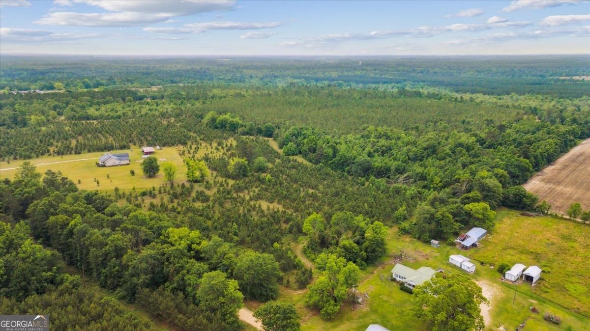 753 Williams-Price Road Kite - 48