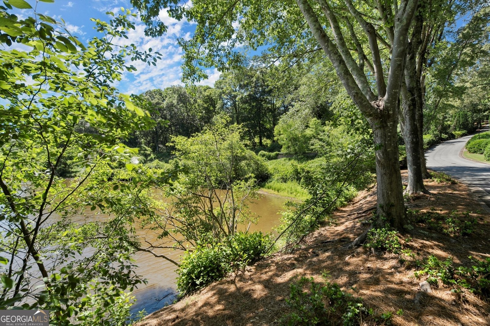 5626 River Heights Crossing Marietta - 30
