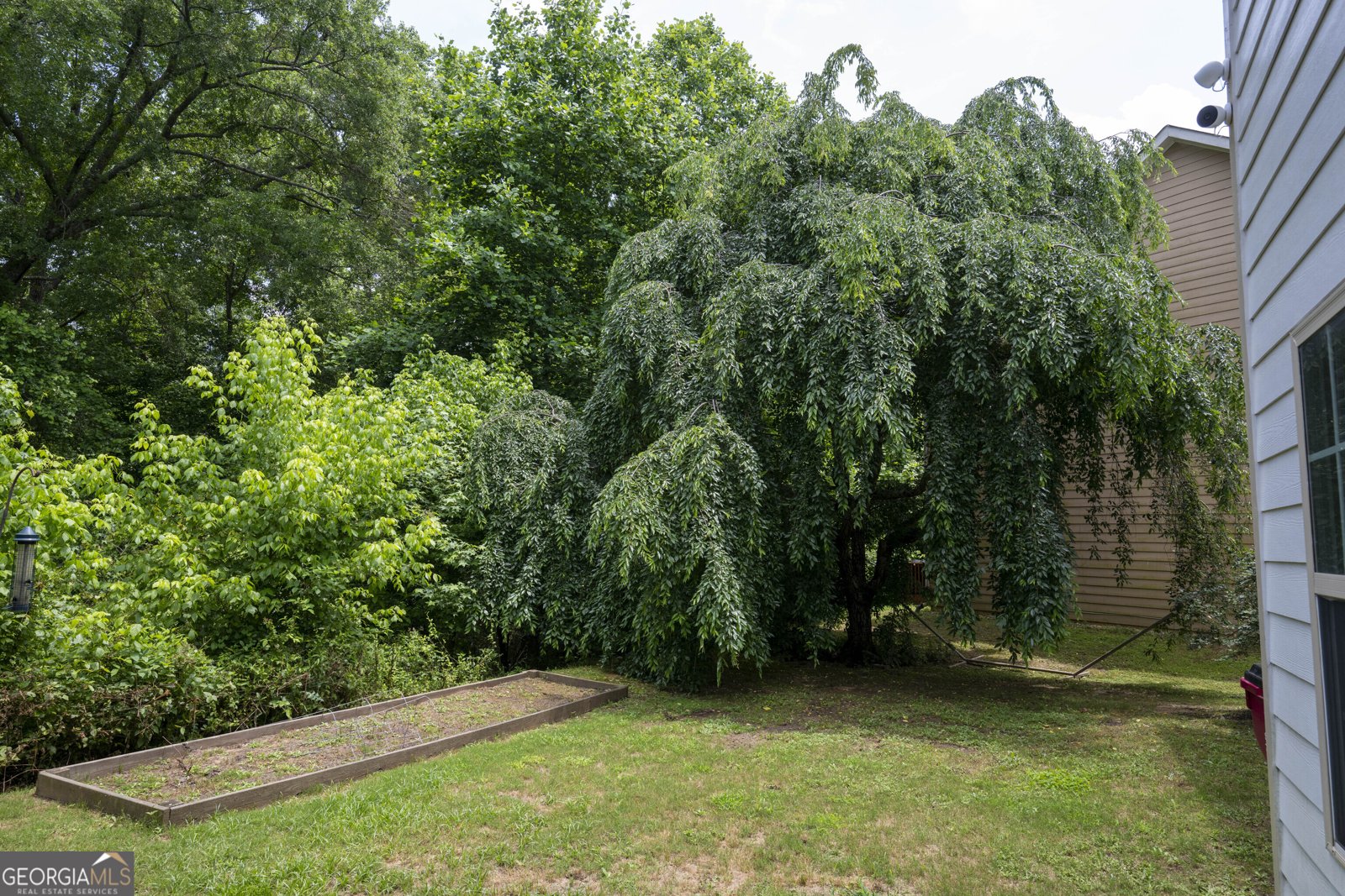 6813 Grand Hickory Drive Braselton - 5