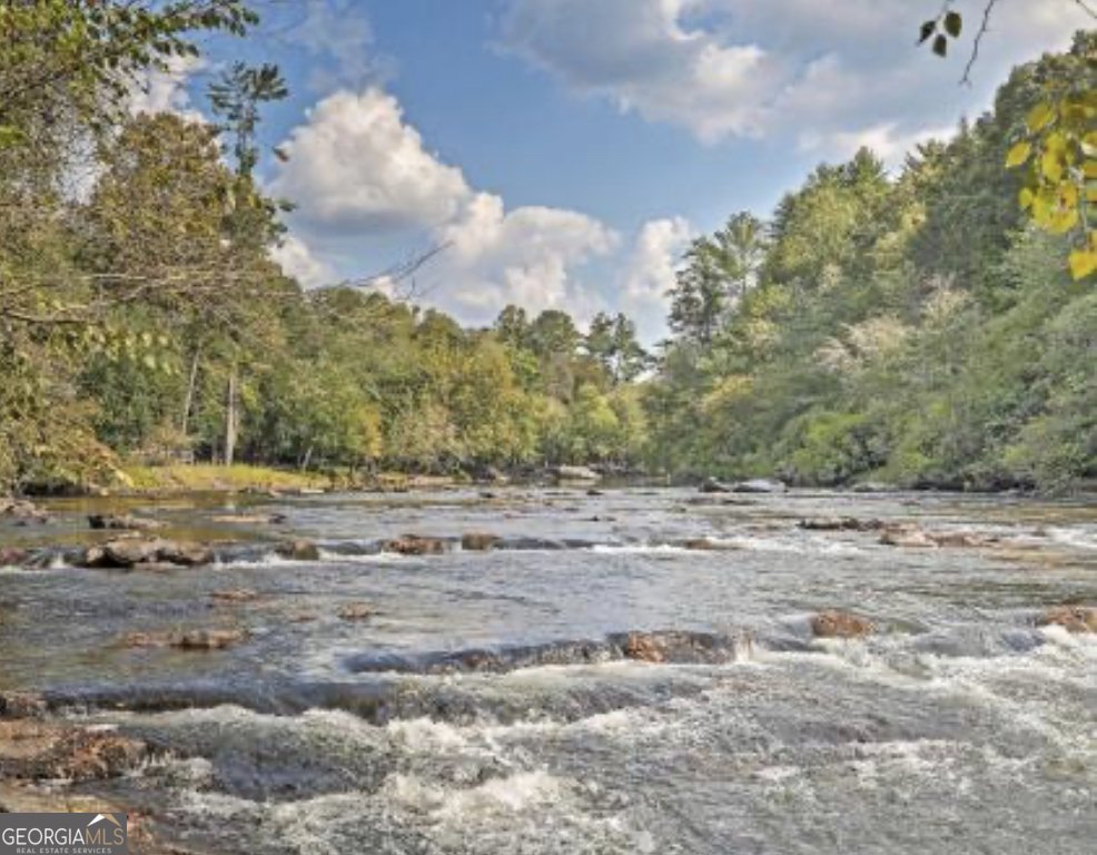 953 Lemmon Lane Ellijay - 33