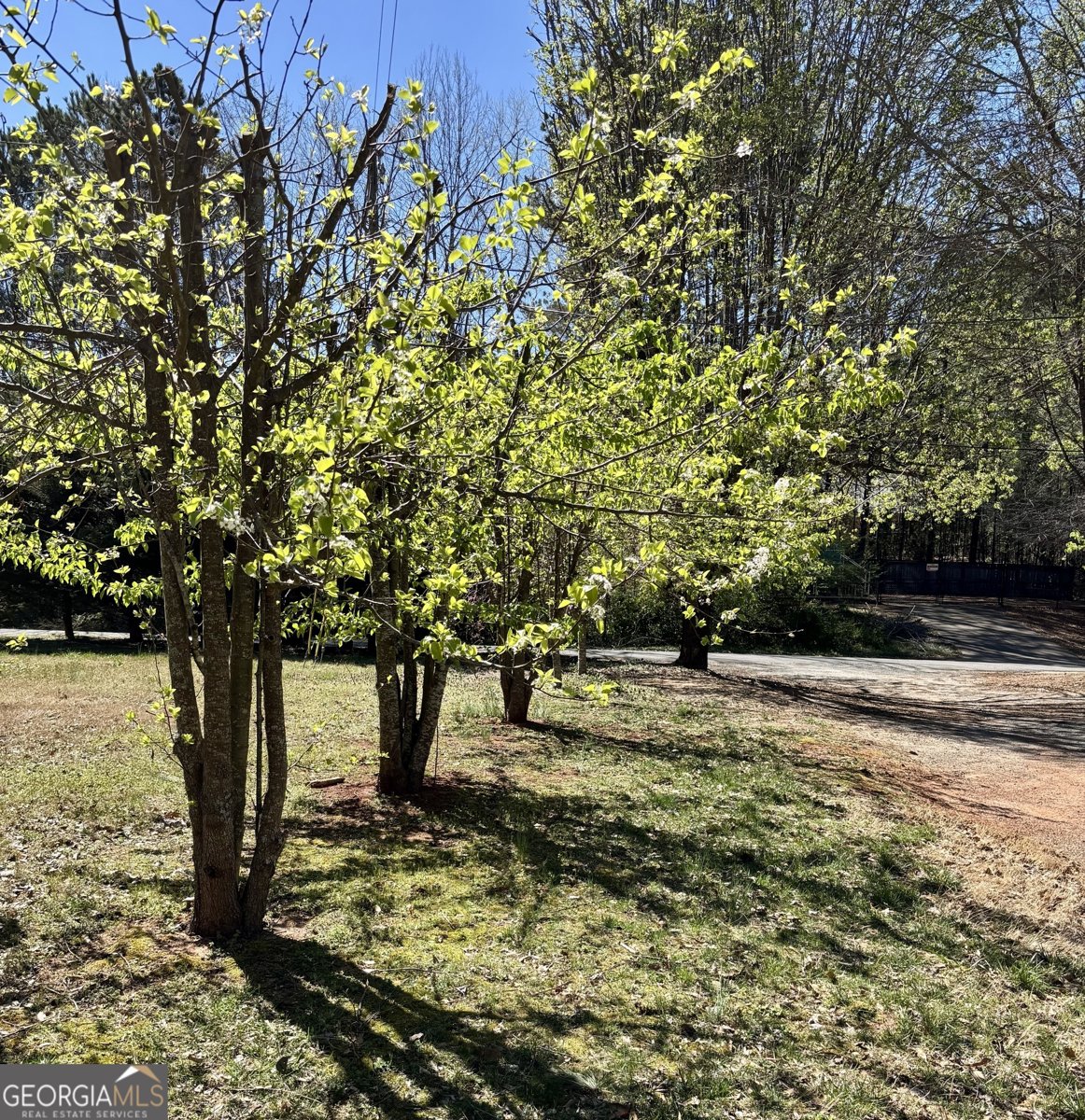 522 Stell Road Woodstock - 28