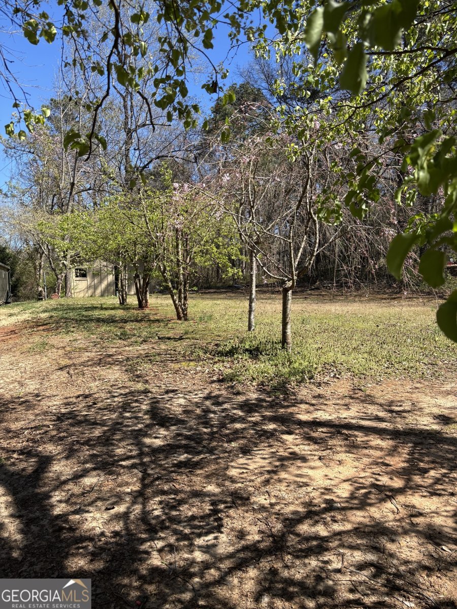522 Stell Road Woodstock - 30