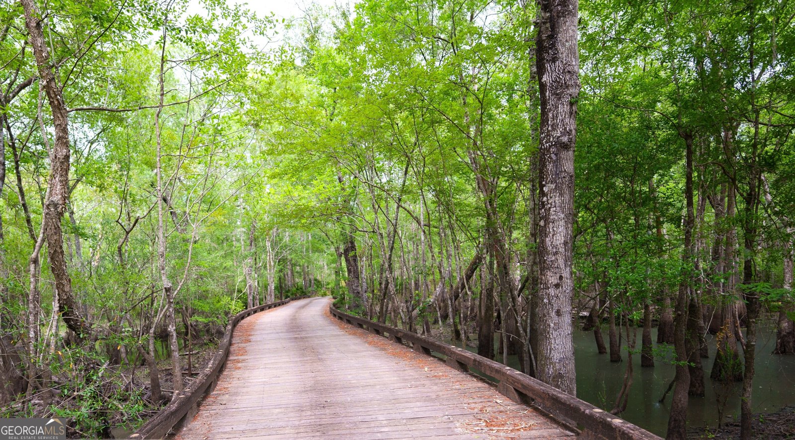 331 Bluff Road White Oak - 52