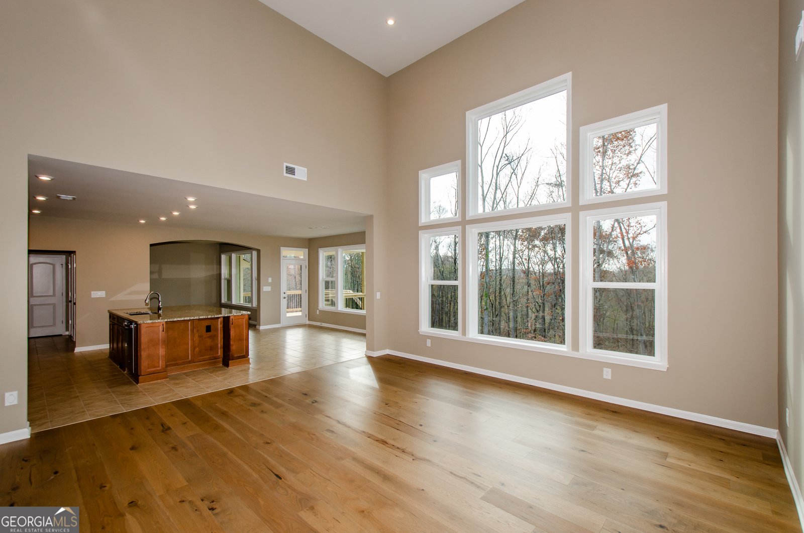 8555 Scenic Ridge Way Ball Ground - 11