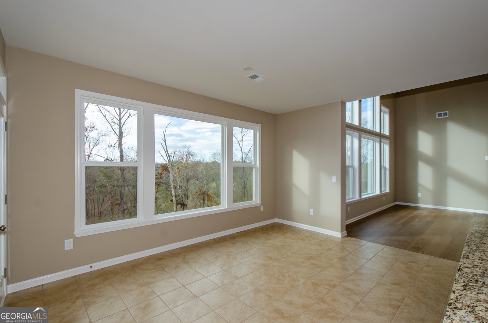 8555 Scenic Ridge Way Ball Ground - 15