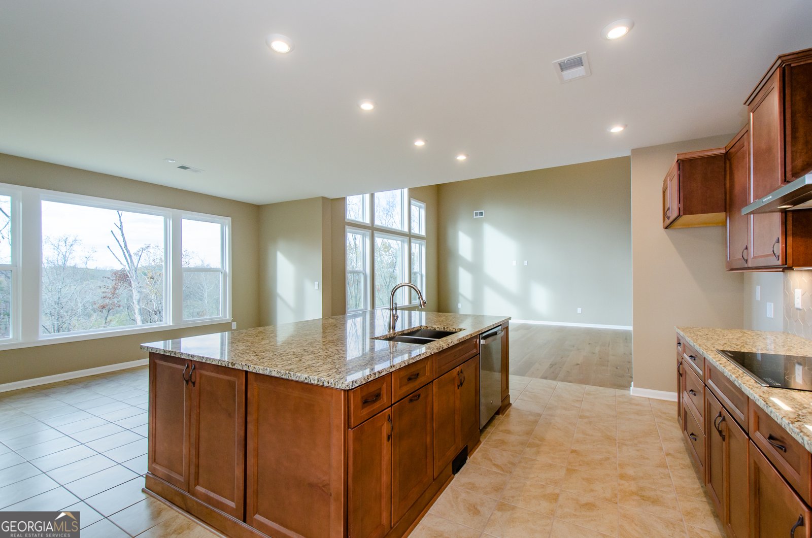 8555 Scenic Ridge Way Ball Ground - 20