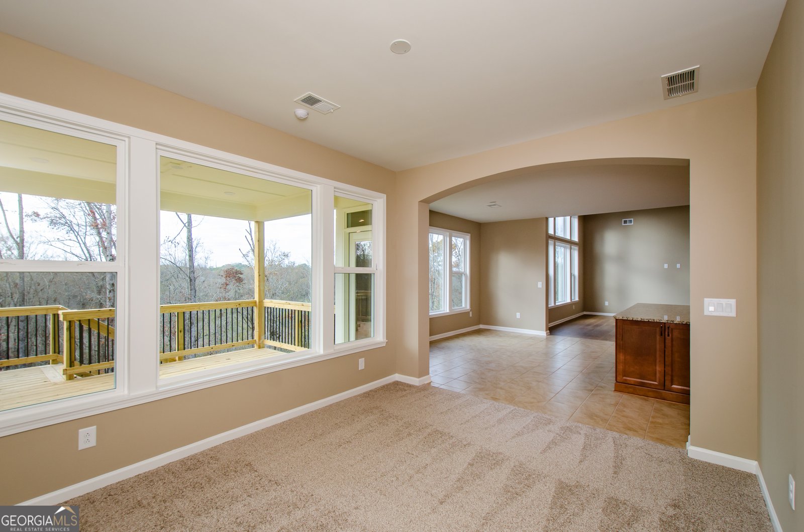 8555 Scenic Ridge Way Ball Ground - 25