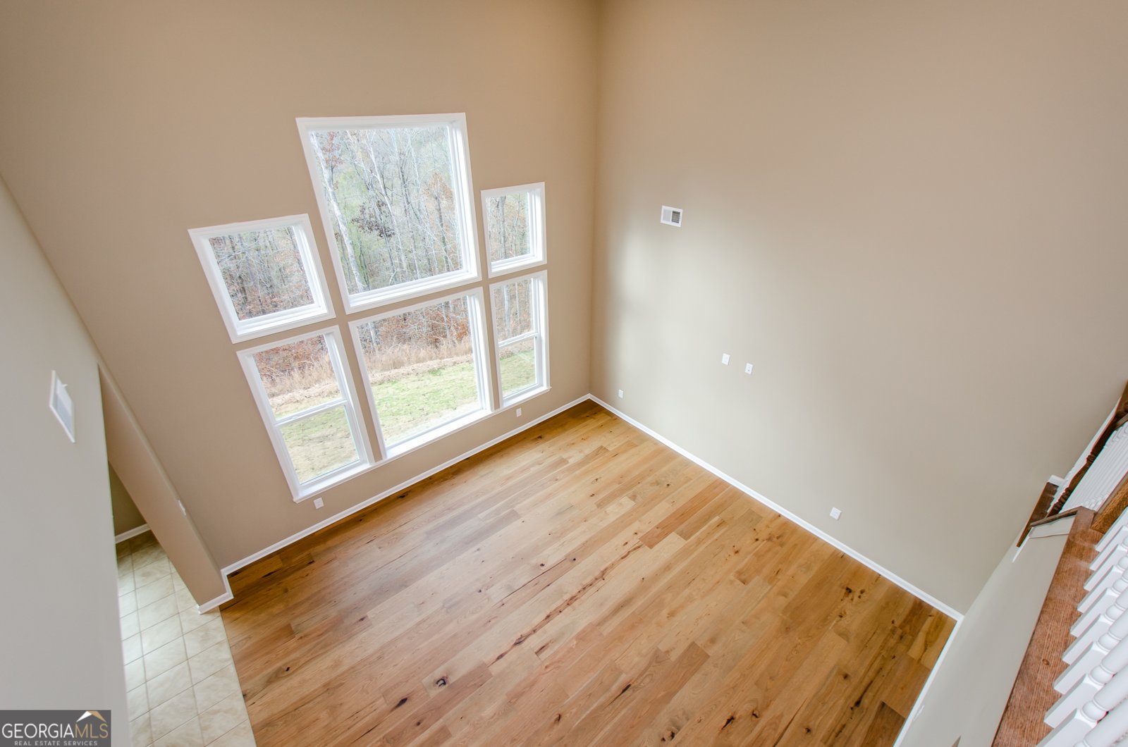 8555 Scenic Ridge Way Ball Ground - 28