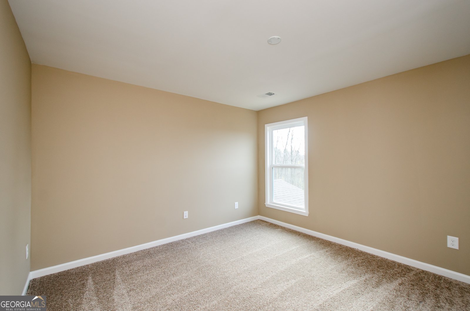 8555 Scenic Ridge Way Ball Ground - 34