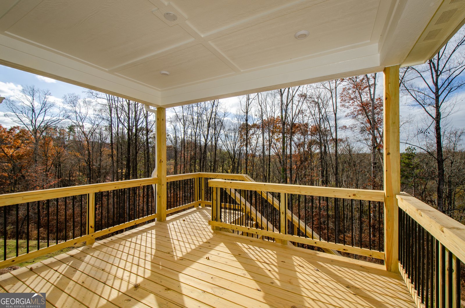 8555 Scenic Ridge Way Ball Ground - 51