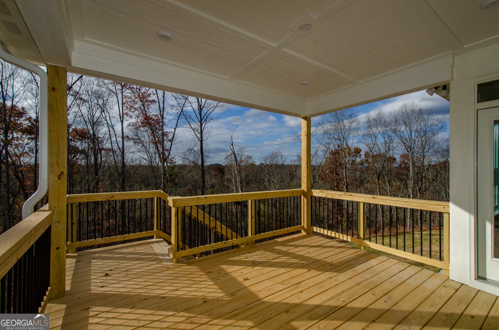 8555 Scenic Ridge Way Ball Ground - 52