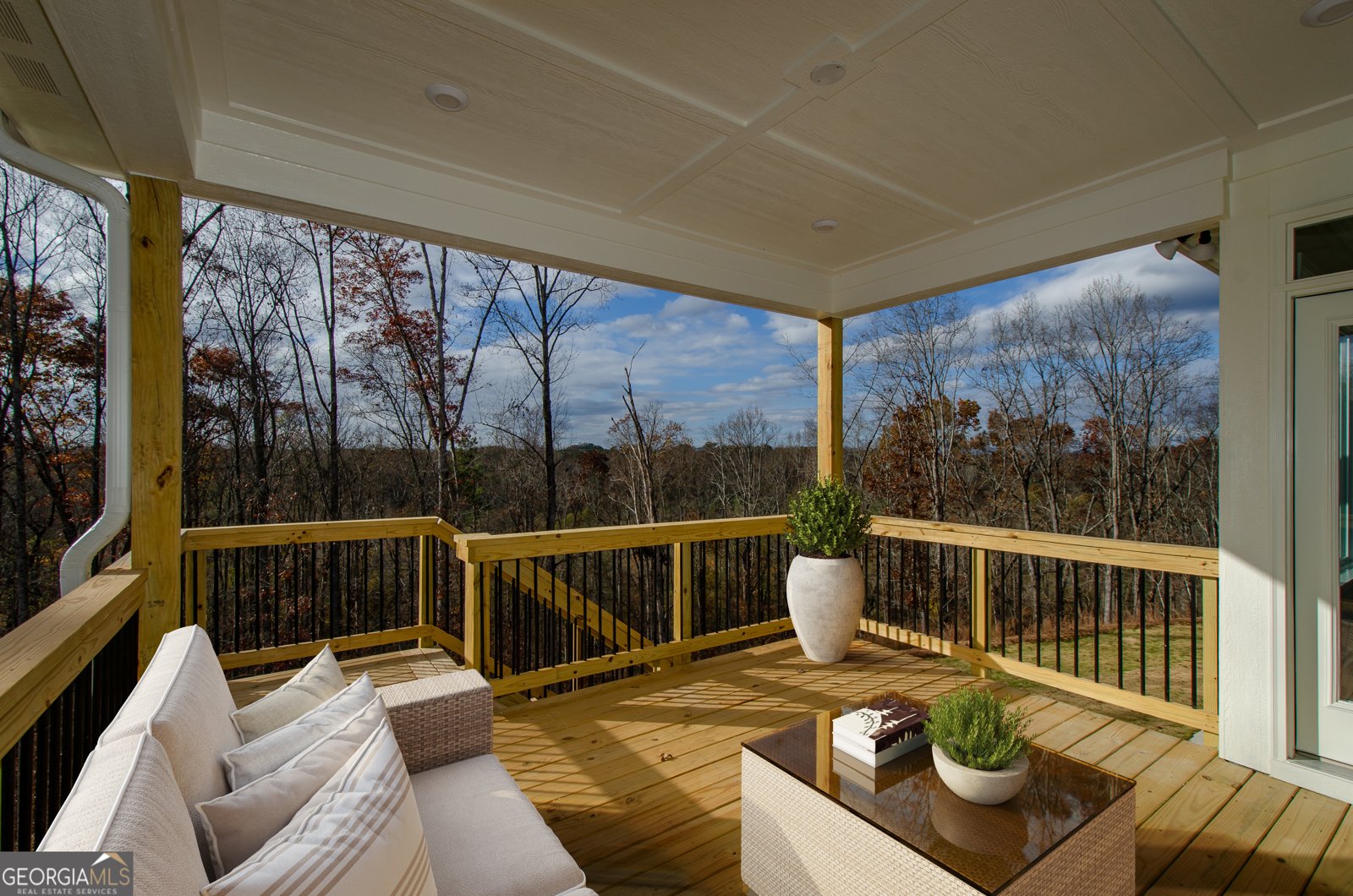 8555 Scenic Ridge Way Ball Ground - 53