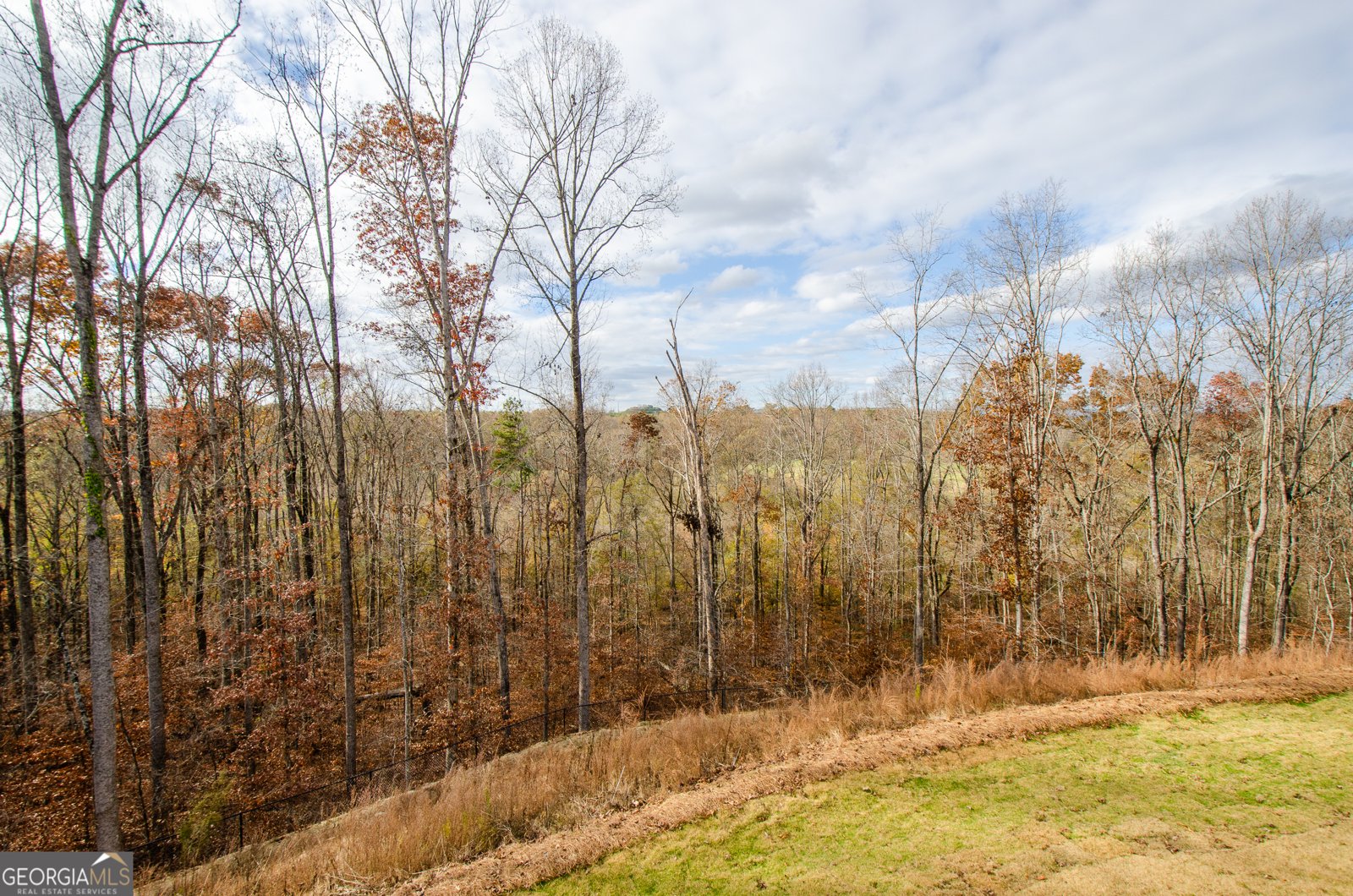 8555 Scenic Ridge Way Ball Ground - 55