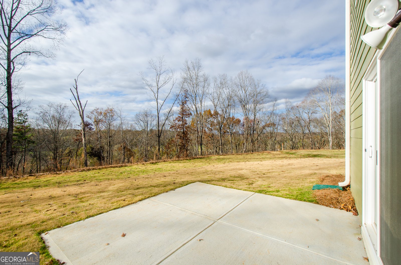 8555 Scenic Ridge Way Ball Ground - 60