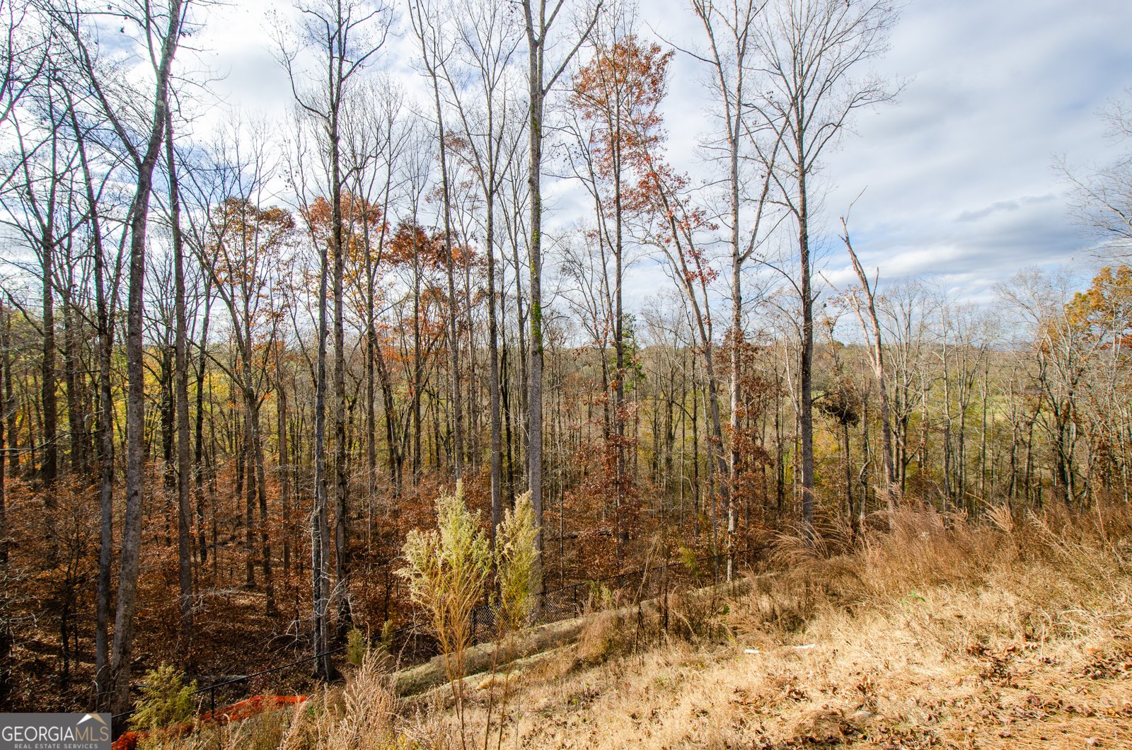 8555 Scenic Ridge Way Ball Ground - 64