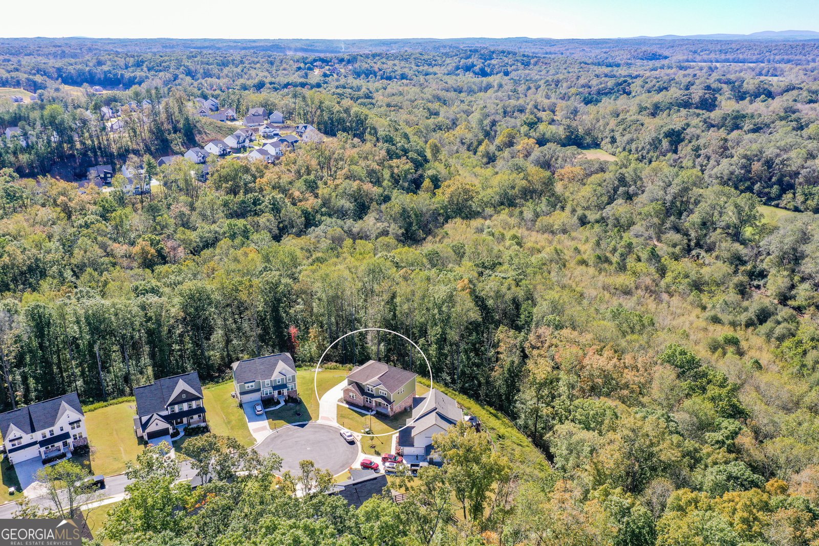 8555 Scenic Ridge Way Ball Ground - 81