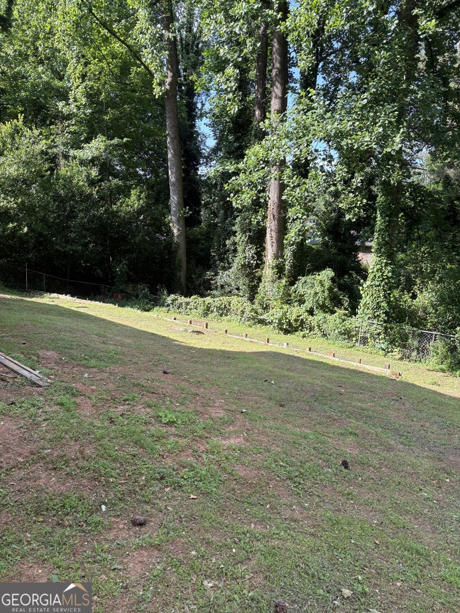 801 NEEDLE ROCK Drive Stone Mountain - 3