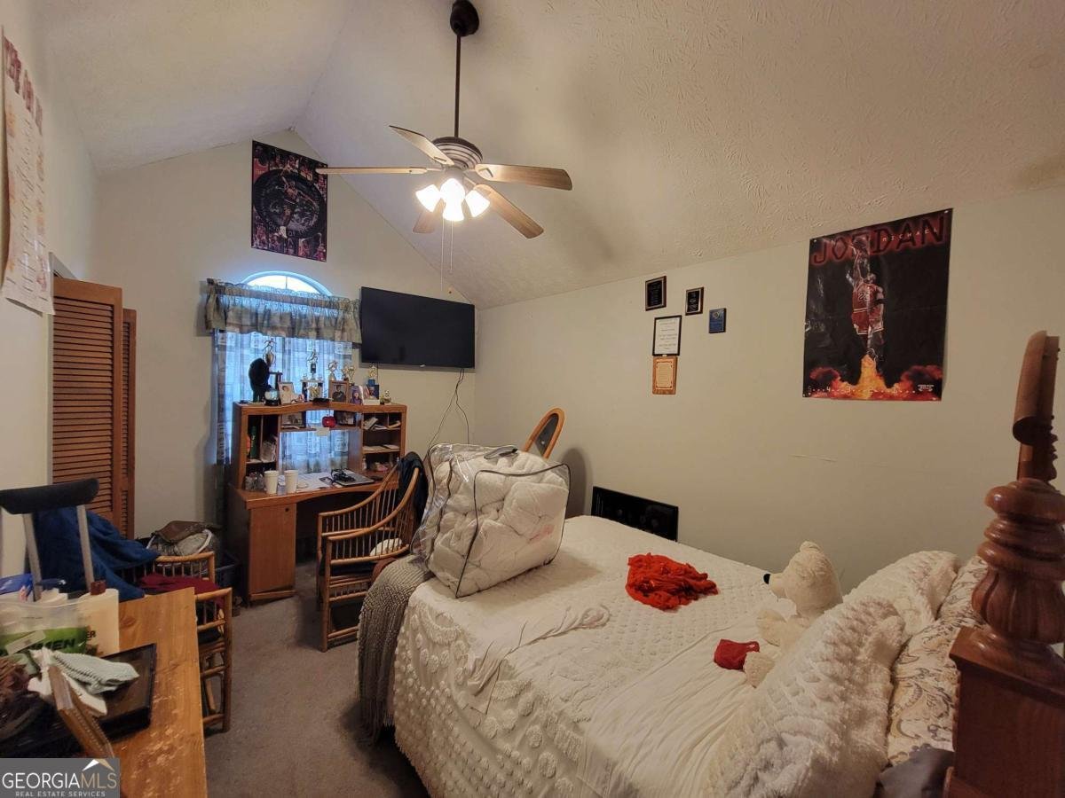 3723 Raiders Ridge Drive Lithonia - 18