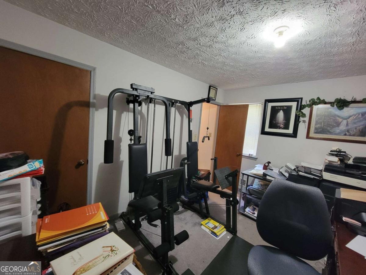 3723 Raiders Ridge Drive Lithonia - 29