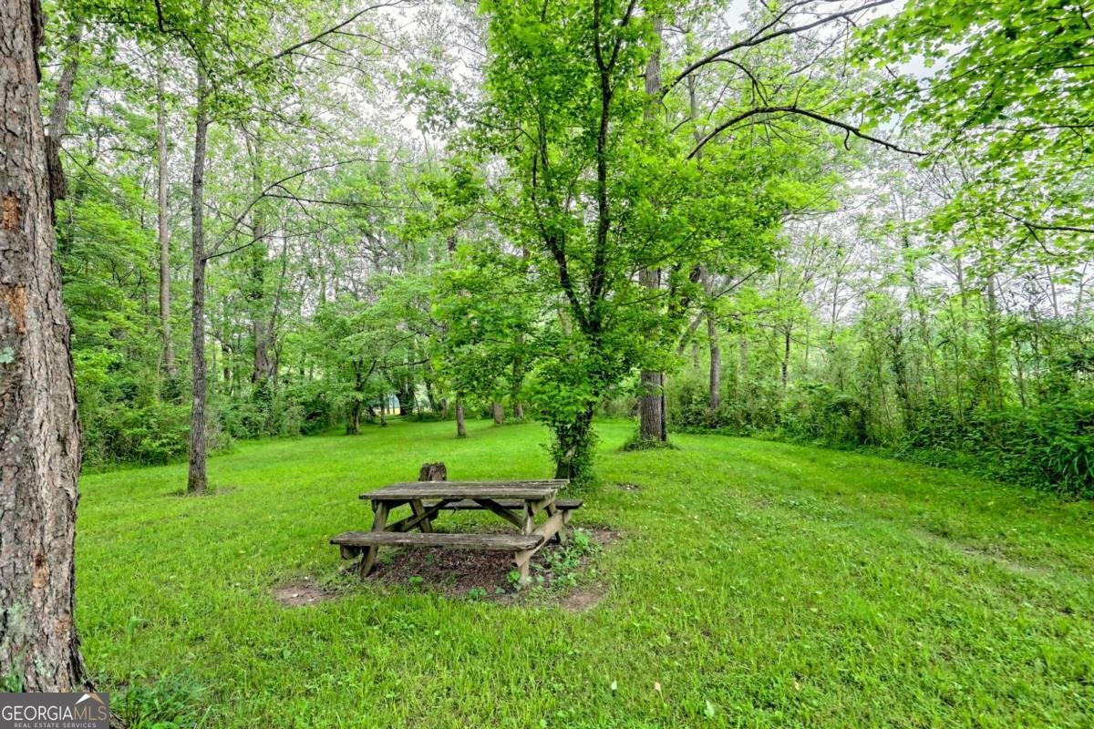 6487 Old Hwy 64 W Warne - 52