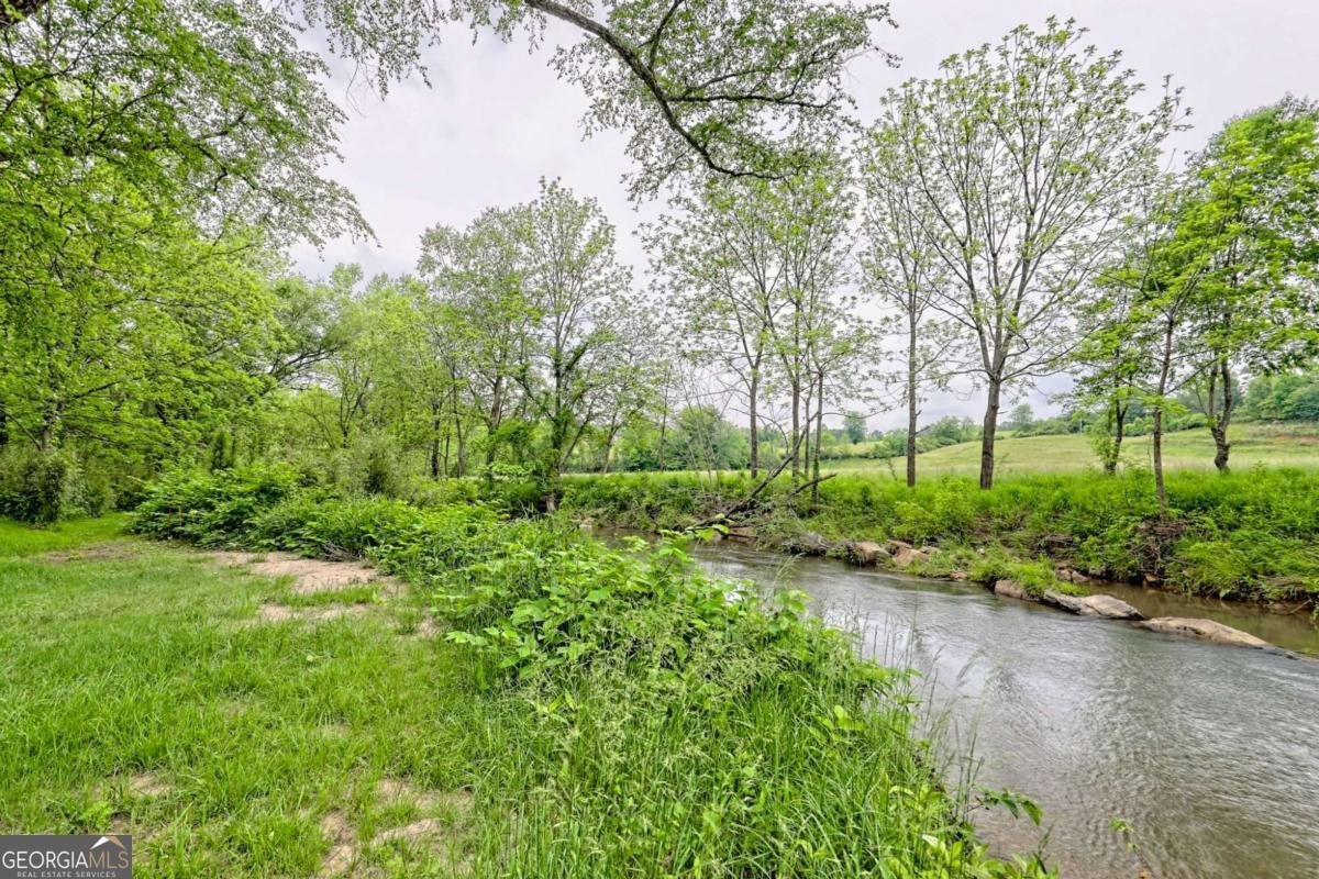6487 Old Hwy 64 W Warne - 53