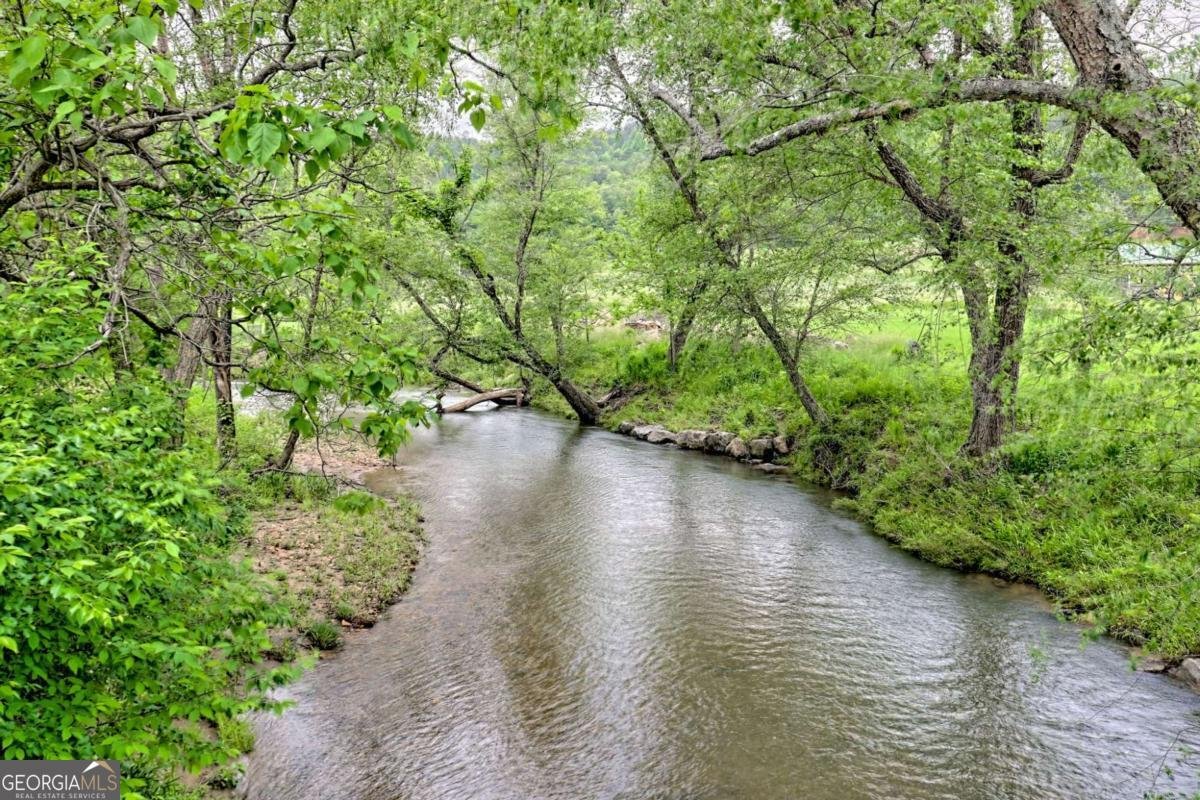 6487 Old Hwy 64 W Warne - 68