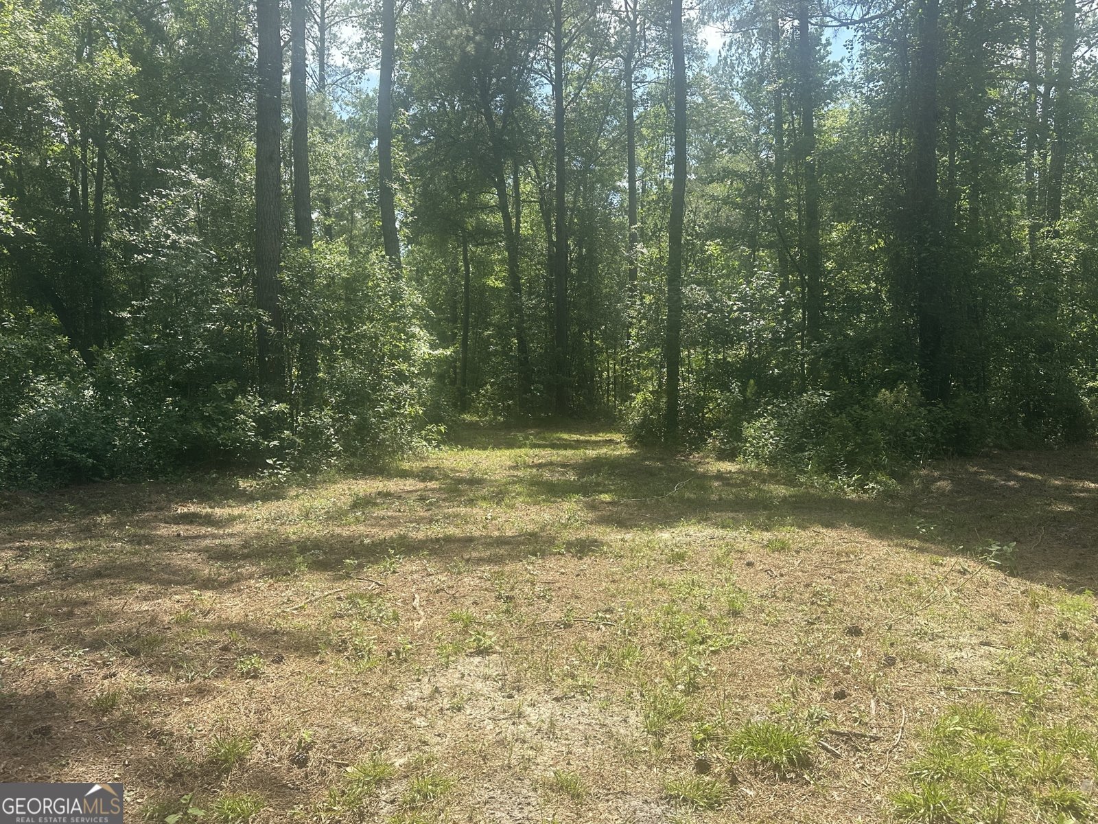 925 Cleary Road Brooklet - 34