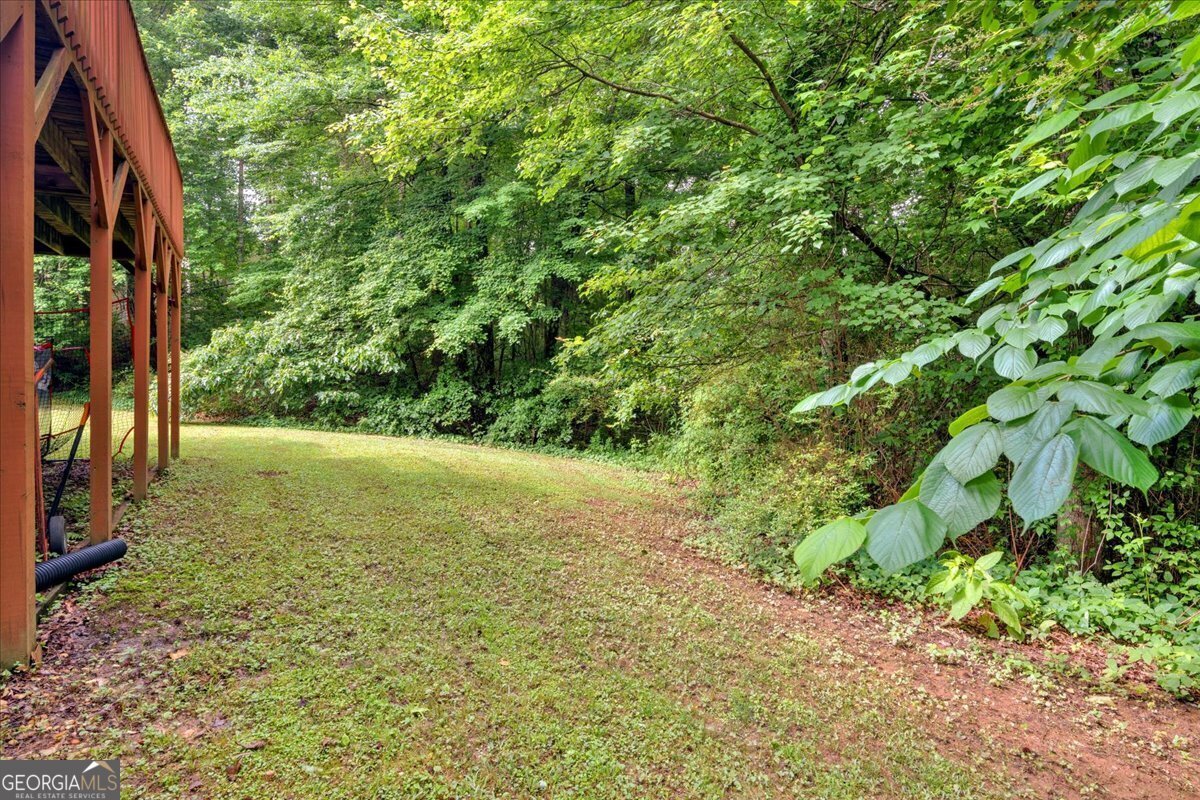 185 White Oak Court Carrollton - 39