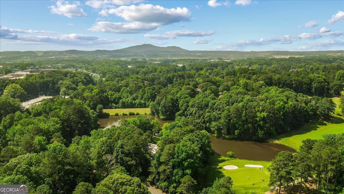 1323 Frey Lake Court Kennesaw - 3