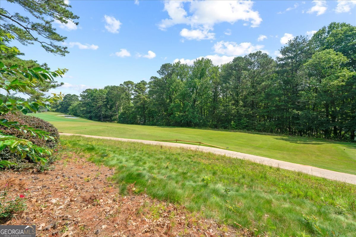 1323 Frey Lake Court Kennesaw - 41