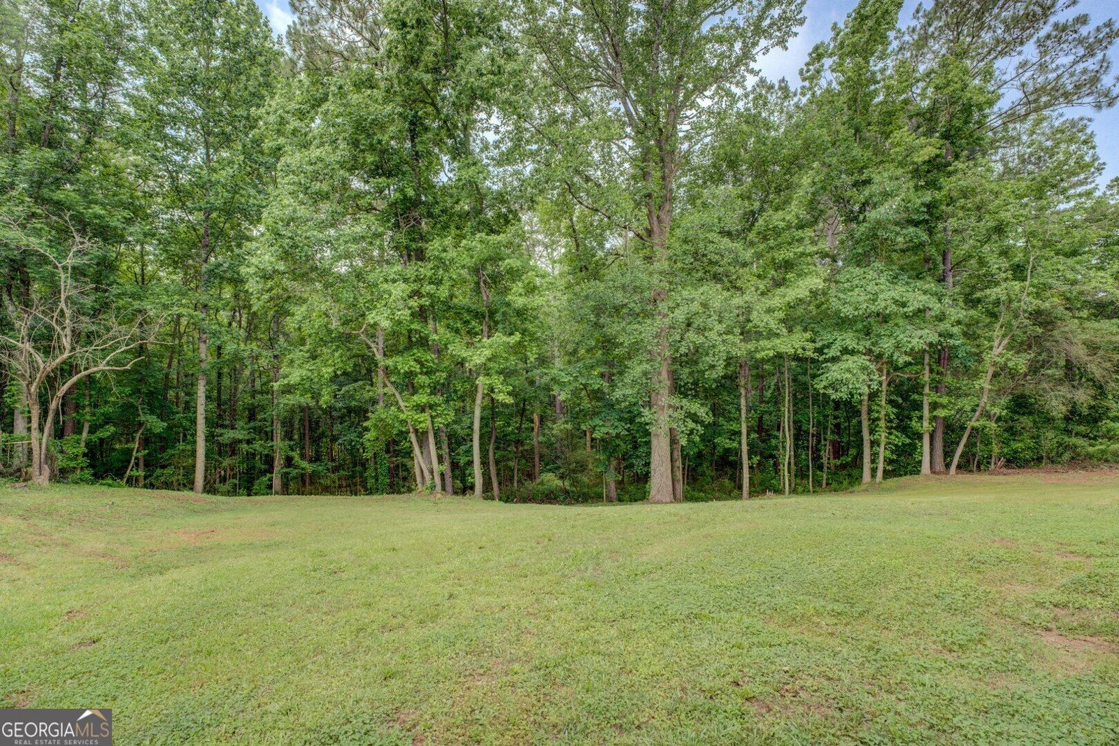 170 Hidden Pines Drive Covington - 4