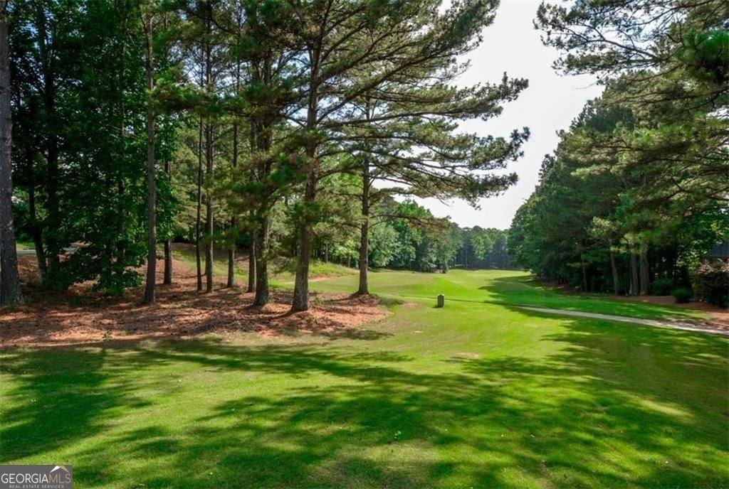 1801 Summerview Court Woodstock - 57
