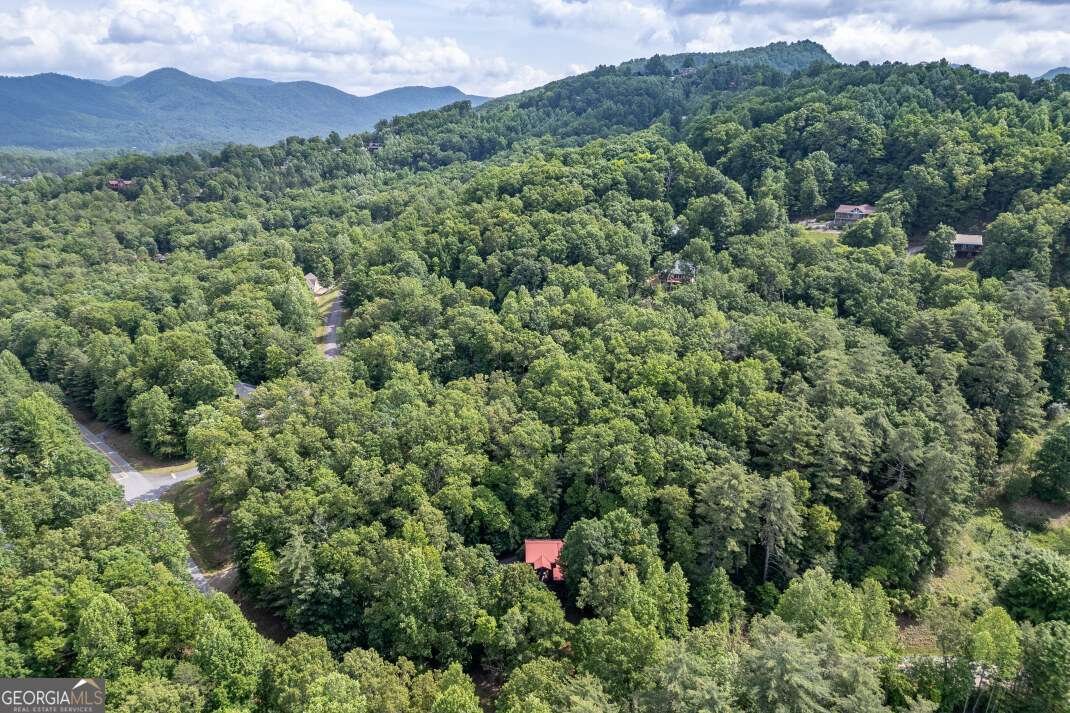 284 Summit Way Blairsville - 65