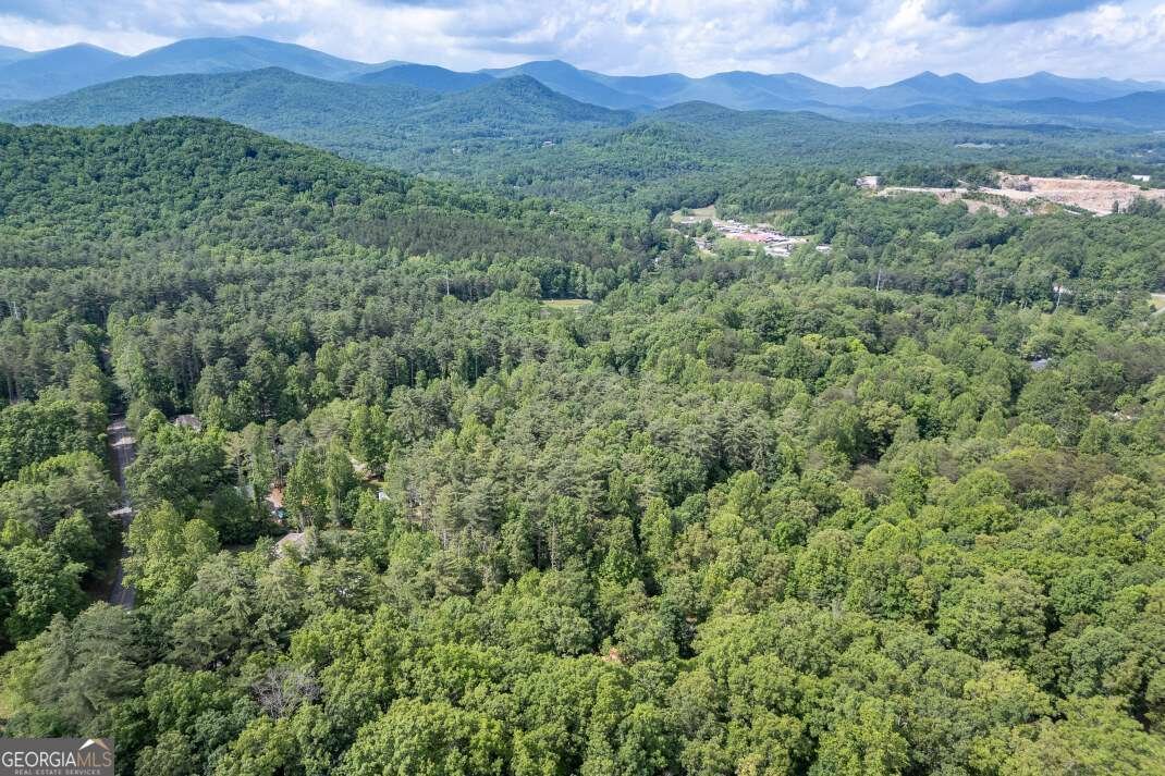 284 Summit Way Blairsville - 66