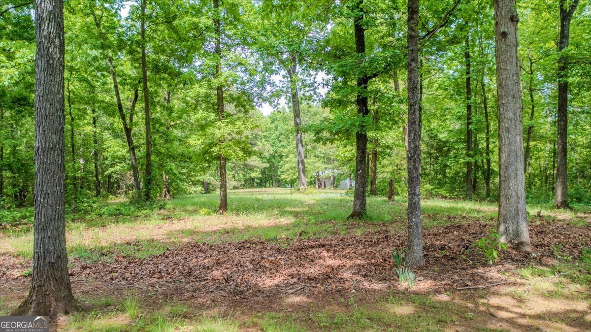 10045 County Road 56 Woodland - 10