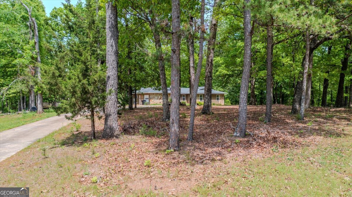 10045 County Road 56 Woodland - 2