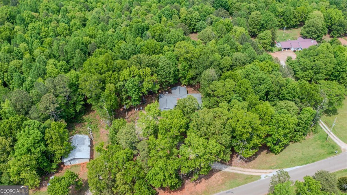 10045 County Road 56 Woodland - 5