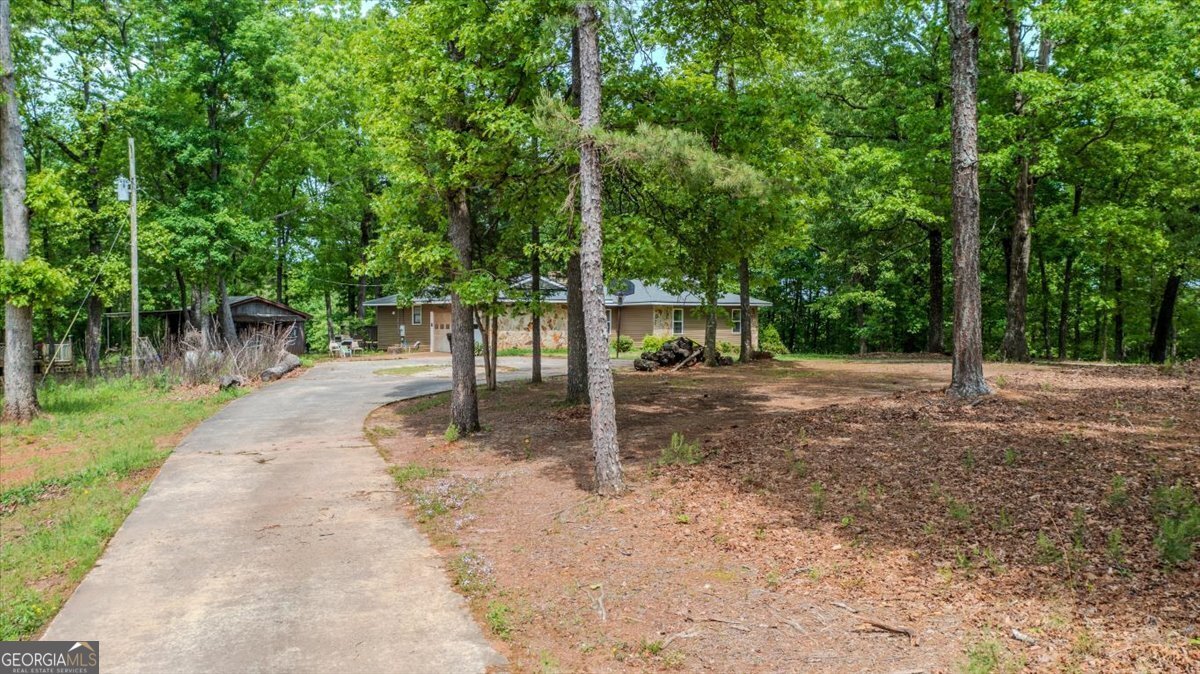 10045 County Road 56 Woodland - 7