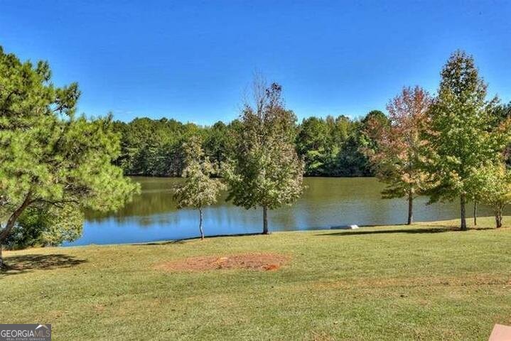 1460 Leathersville Road Lincolnton - 21