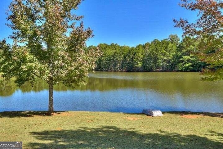 1460 Leathersville Road Lincolnton - 22