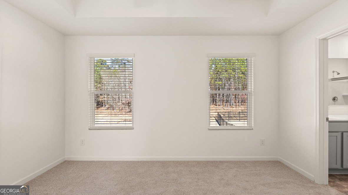 256 Lauritsen Way Newnan - 17